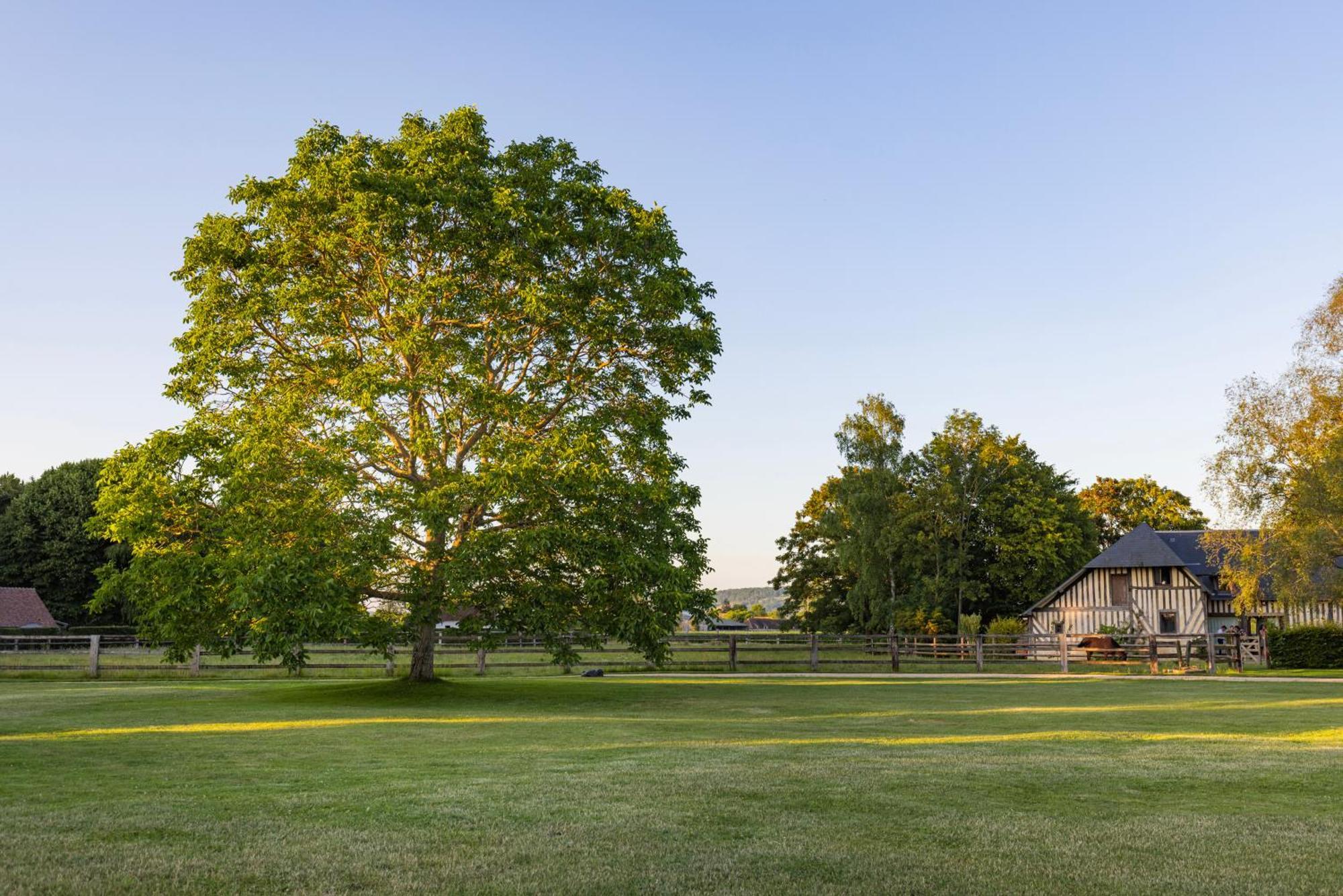 Maison "Jardin Gaillard" Bieville-en-Auge Kültér fotó